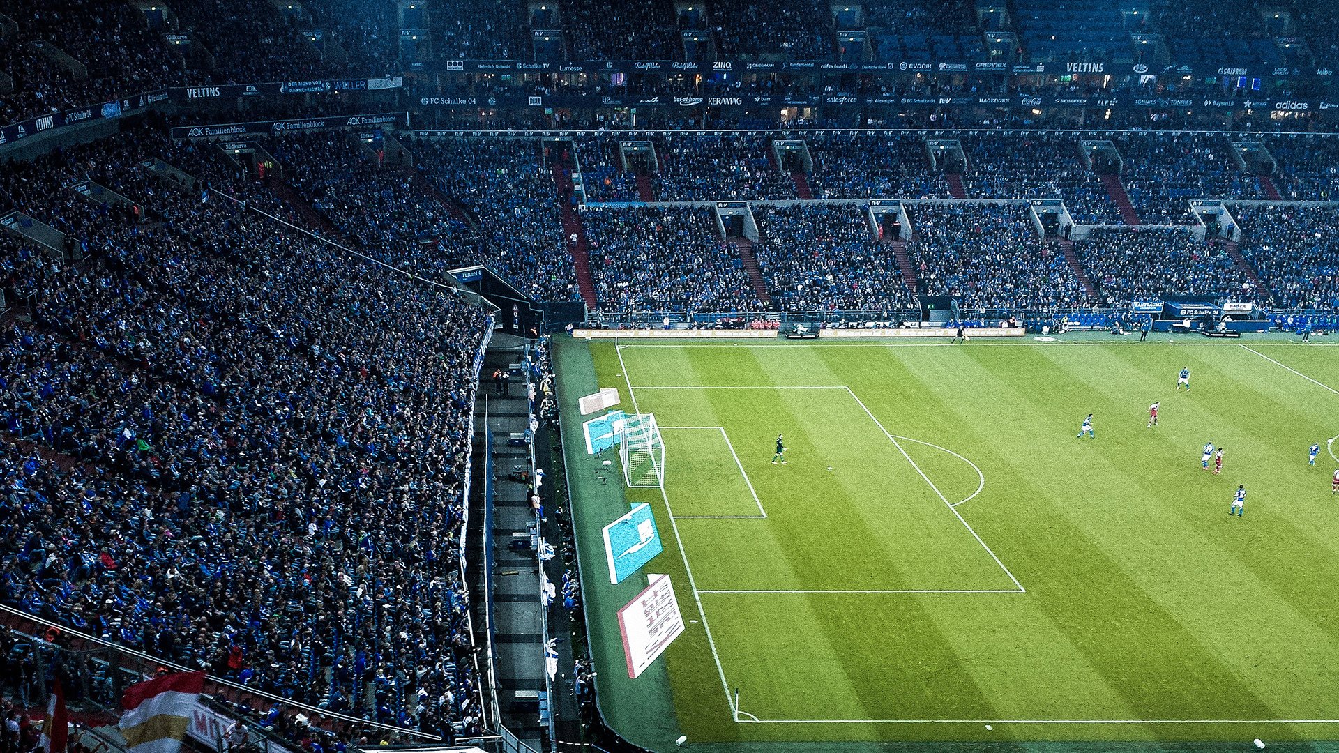 体育赛事粉丝互动